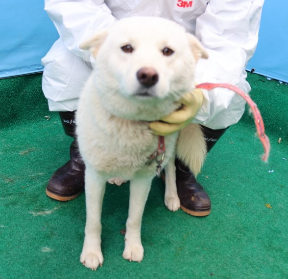 제주 동물보호센터_450650202500571